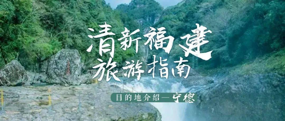漆黑的森林逃脱